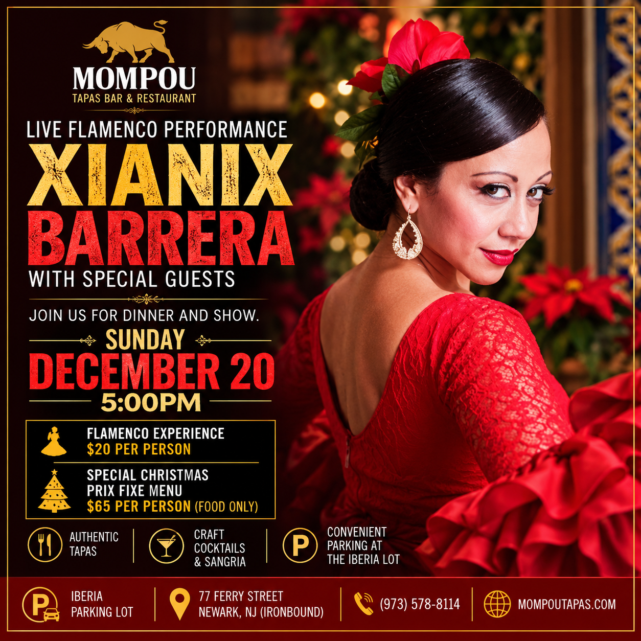 Xianix Barrera - Live Flamenco Performance